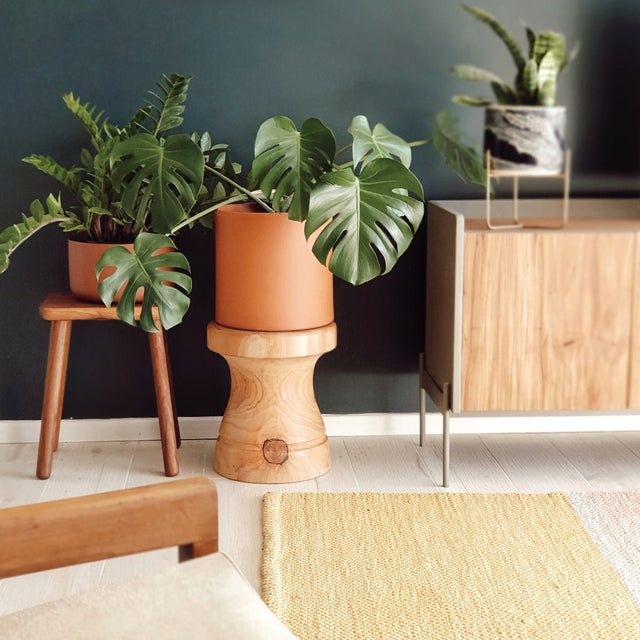 Nuevo lujo: lo esencial es visible a los ojos - Carina Michelli